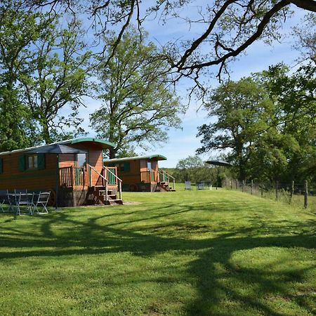Les Roulottes Des Ris Bed and Breakfast Vallon-en-Sully Εξωτερικό φωτογραφία